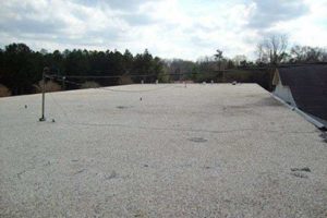 Lyeffion elementary school alabama