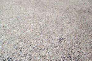 Lyeffion elementary school alabama